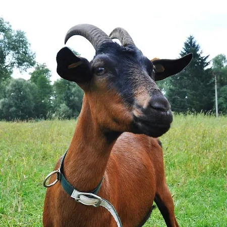 Farma Ztracenka * Porici nad Sazavou