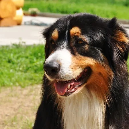 Farma Ztracenka Pensionat