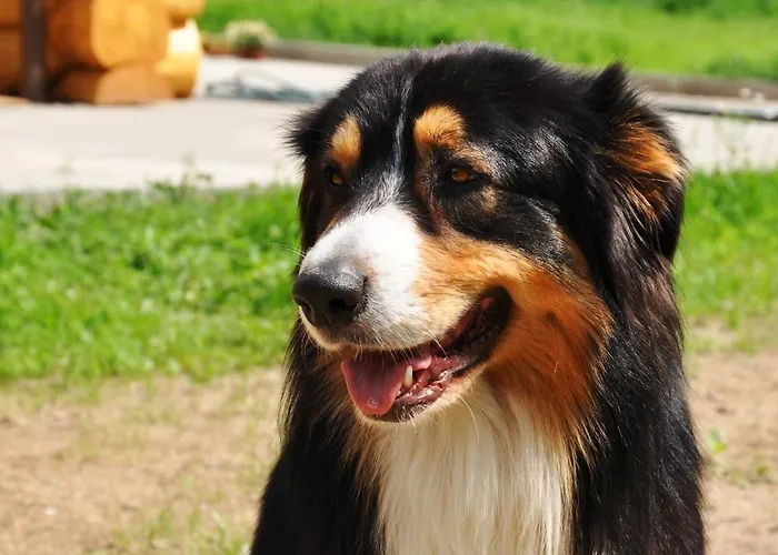 Farma Ztracenka Guest house